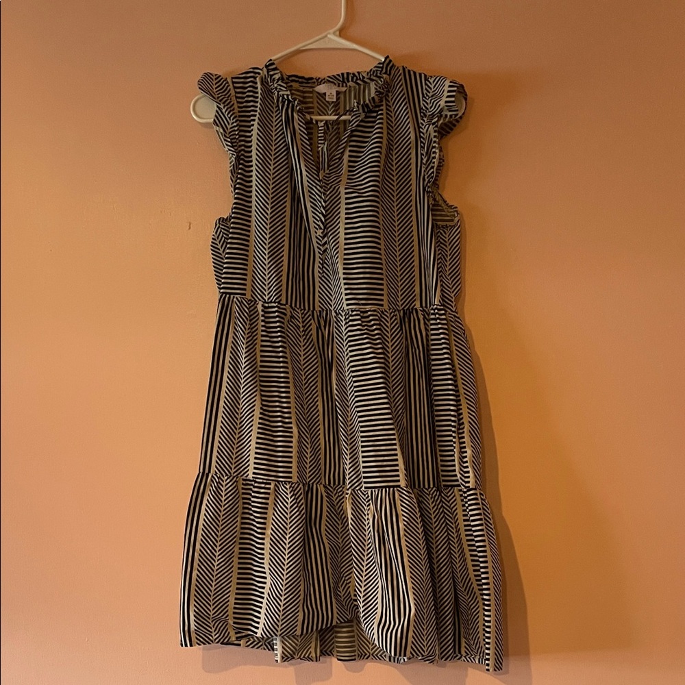 Time and Tru Black and White Striped Mini Dress